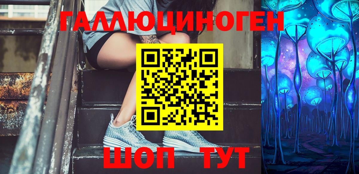 Псилоцибиновые грибы GOLDEN TEACHER Торжок